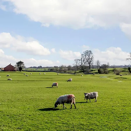 3 Bed In Bedale 81375 *